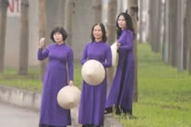 Đùa giỡn tử thần, ngang nhiên đứng giữa đường để chụp ảnh cây bàng Đài Loan