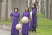 Đùa giỡn tử thần, ngang nhiên đứng giữa đường để chụp ảnh cây bàng Đài Loan