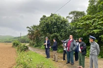 Cựu phi công Mỹ hơn nửa thế kỷ tìm về nơi bị bắn rơi