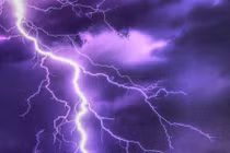 Hai cha con bị sét đánh thương vong trong lúc trú mưa dưới gốc cây