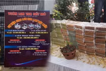 Giao dịch lan Var trăm tỷ: Người bán có phải nộp thuế?