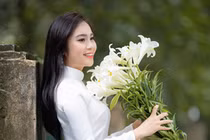 Đầu mùa, hoa loa kèn tinh khôi xuống phố gọi tháng tư về Thủ đô