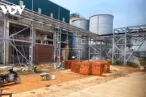 Lo ngại ô nhiễm môi trường từ Dự án Nhà máy bột - giấy ở Quảng Ngãi