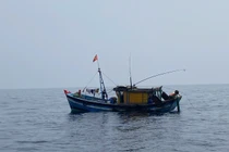 Bắt giữ hai tàu cá đánh bắt thủy sản trái phép ở Quảng Trị