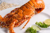 Đầu bếp sơ chế tôm hùm Australia khổng lồ