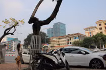 Hà Nội: Hàng cây sưa trăm tỷ được mặc áo giáp sắt đang chết khô