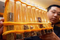 Trung Quốc và tham vọng tạo ra giống cây lương thực mới trên vũ trụ