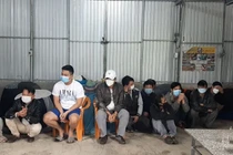 Bao vây trường gà, bắt quả tang hàng chục "con bạc" cá độ