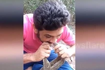 Người đàn ông liều mạng ngậm đầu 4 con rắn độc vào miệng