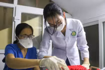 Quảng Bình: Nhiều y bác sĩ xin nghỉ việc vì áp lực, lương thấp