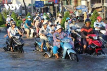 Dân Cần Thơ bơi trên đường vì triều cường