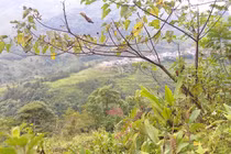 Ám ảnh sự ghẻ lạnh của nhà nội khi có mẹ ngoại tình 