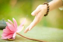 Ba thứ càng vứt bỏ sớm càng may mắn hạnh phúc