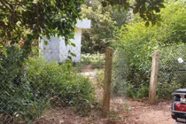 Hành trình dung túng người thân chiếm đất công của Chánh án TAND Côn Đảo