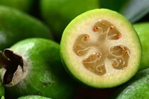 5 tác dụng tuyệt vời của ổi dứa với sức khỏe 