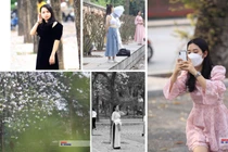 Chị em đua nhau check-in trên con đường hoa ban đẹp nhất Hà Nội