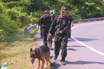  Được phép tiêu diệt phạm nhân nguy hiểm trốn trại Triệu Quân Sự