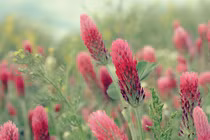 Người sinh tháng Âm lịch này đón vận may muộn, cuối đời sung túc