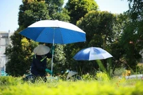 Dự báo thời tiết 24/6, miền Bắc còn mưa, Nghệ An đến Phú Yên nắng nóng