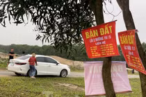 Choáng cảnh "cò" ùn ùn đổ về làng, chào hàng bán đất như buôn rau