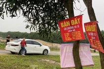 Choáng cảnh "cò" ùn ùn đổ về làng, chào hàng bán đất như buôn rau