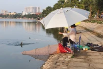 Hồ Định Công biến thành hồ câu dịch vụ: Chủ tịch phường phải chịu trách nhiệm