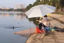 Hồ Định Công biến thành hồ câu dịch vụ: Chủ tịch phường phải chịu trách nhiệm