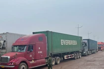 Mở lại cửa khẩu Móng Cái: Mỗi ngày có hơn 200 lượt thông quan