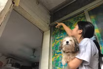 Rợn người các toà chung cư cũ sắp sập ở Hà Nội