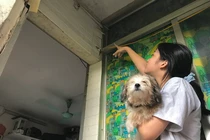 Rợn người các toà chung cư cũ sắp sập ở Hà Nội