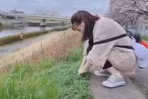 Hội người Việt tại Nhật chia sẻ về những món rau... 0 đồng 