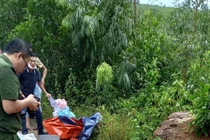 Quảng Bình: Phát hiện bộ xương người trong rừng keo