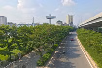 Sau 5 năm chặt hàng cây cổ thụ, đường Phạm Văn Đồng rợp màu xanh