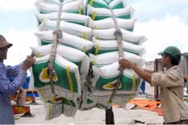 Vì sao 7 Cục trưởng Bộ Tài chính bị tạm đình chỉ công tác?