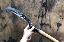 Con trai tâm thần dùng rựa chém mẹ ruột tử vong