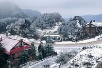 Dự báo sẽ có mưa tuyết, người dân đến đâu để thưởng ngoạn? 