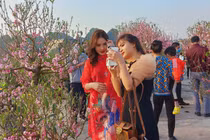 Người dân Quảng Ninh ngắm hoa Xuân, tạm quên mệt mỏi vì COVID-19