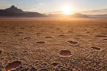 Bí mật xuyên thế kỷ chôn giấu dưới sa mạc “nhiều tuổi” nhất hành tinh 