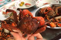  Loại đặc sản lạ chỉ có ở Cà Mau, xưa giá siêu rẻ nay 200.000 đồng/kg