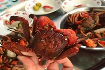  Loại đặc sản lạ chỉ có ở Cà Mau, xưa giá siêu rẻ nay 200.000 đồng/kg