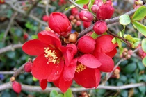 Đào hoa chiếu mệnh, 3 con giáp từ nhỏ được sủng ái, lớn lên cưới đúng người