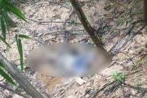 Phát hiện thi thể người đàn ông đang phân huỷ trong rừng