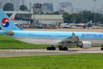 Máy bay không thể cất cánh vì đàn chim én “tung tăng” ở sân bay Tân Sơn Nhất