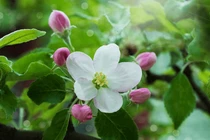 Sau ngày 21/7, 3 con giáp có quý nhân giúp đỡ, tài lộc tăng cao