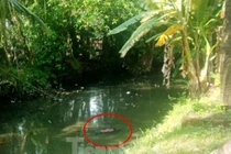 Phát hiện thi thể nữ giới chết bất thường dưới mương nước cạn