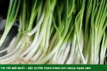 Hành lá khó bảo quản, lá úa vàng? Áp dụng 2 mẹo này, để cả tháng vẫn tươi