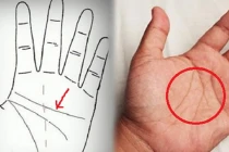 5 đường chỉ tay báo hiệu chủ nhân có số mệnh vất vả