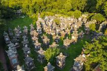 Thăm vườn tháp cổ đẹp và lớn nhất Việt Nam tại chùa Bổ Đà