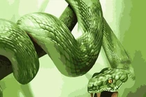 Tuần mới (12/9-18/9/2022), 3 con giáp vận số lên hương, làm giàu không khó 