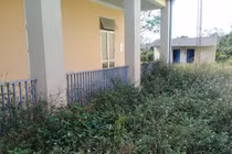 Sau khi sáp nhập xã, nhiều trụ sở để thả bò, cỏ mọc um tùm